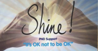 Shine PND Support - Swindon
