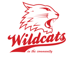 Swindon Wildcats in the Community