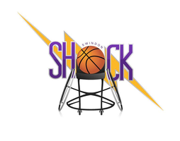 Swindon Shock Wheelchair Basketball Club